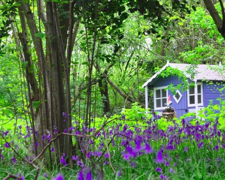 Seven-dwarfs-cottage-in-the-woods-Copy_1280x1024